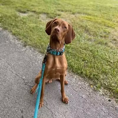 Scioto Township Park And Nature Area - Delaware, OH
