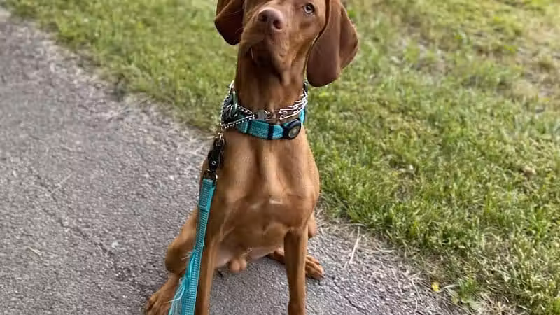 Scioto Township Park And Nature Area - Delaware, OH