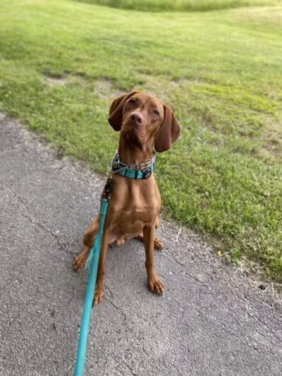 Scioto Township Park And Nature Area - Delaware, OH