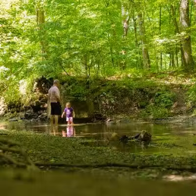 Shale Hollow Park - Delaware, OH