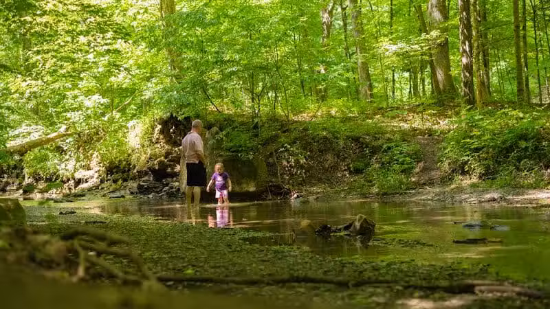 Shale Hollow Park - Delaware, OH