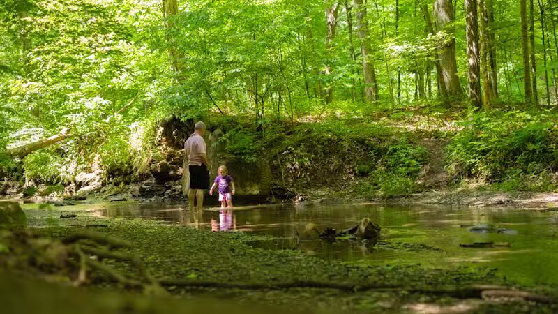 Shale Hollow Park - Delaware, OH