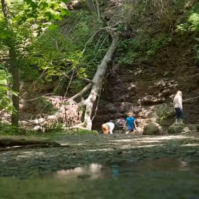 Shale Hollow Park - Delaware, OH