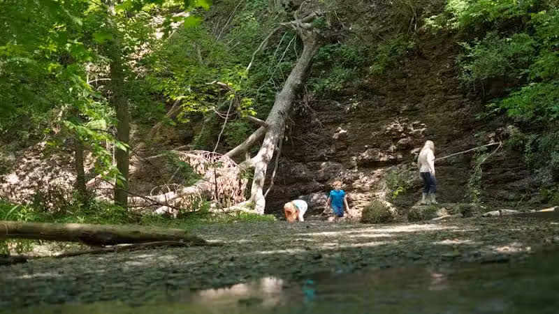 Shale Hollow Park - Delaware, OH