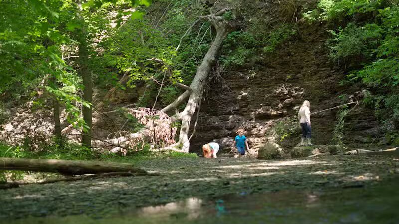 Shale Hollow Park - Delaware, OH