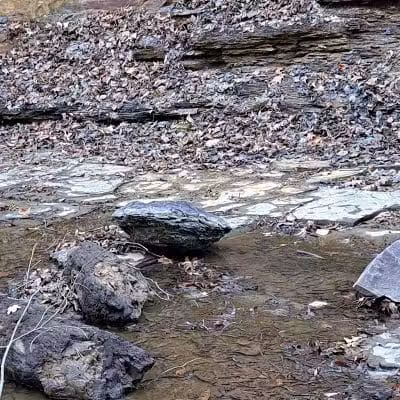 Shale Hollow Park - Delaware, OH