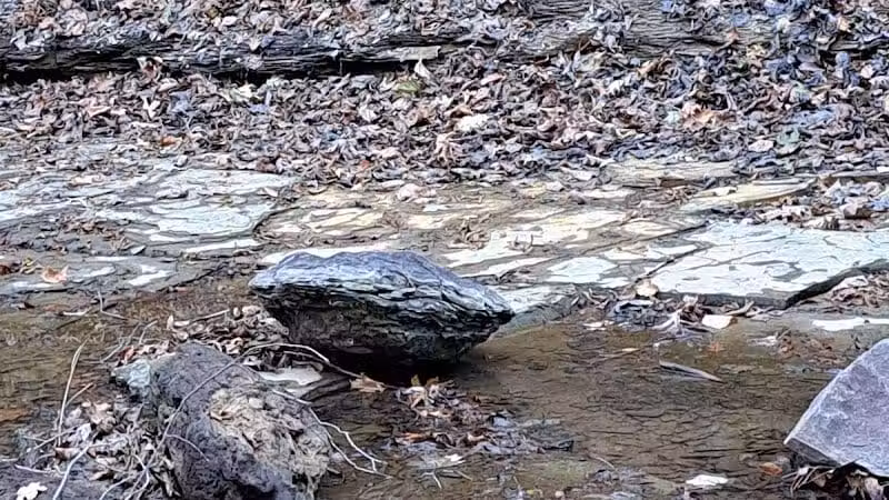 Shale Hollow Park - Delaware, OH