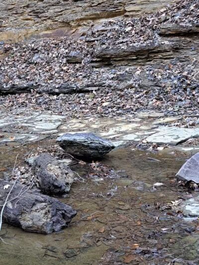 Shale Hollow Park - Delaware, OH