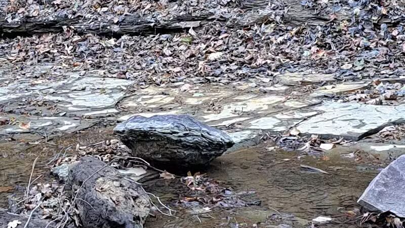 Shale Hollow Park - Delaware, OH