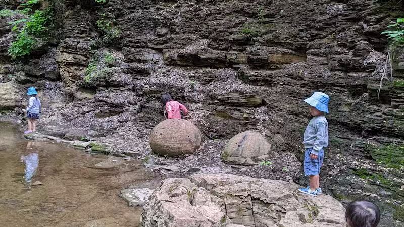 Shale Hollow Park - Delaware, OH