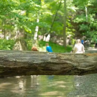 Shale Hollow Park - Delaware, OH