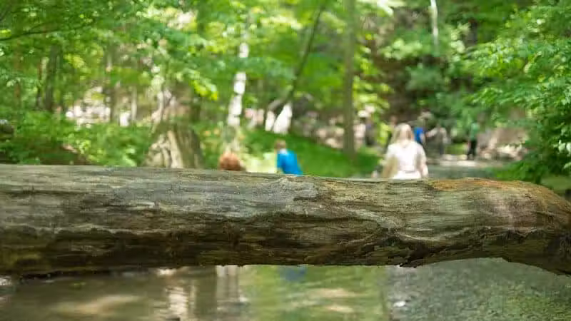Shale Hollow Park - Delaware, OH