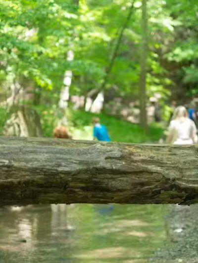 Shale Hollow Park - Delaware, OH