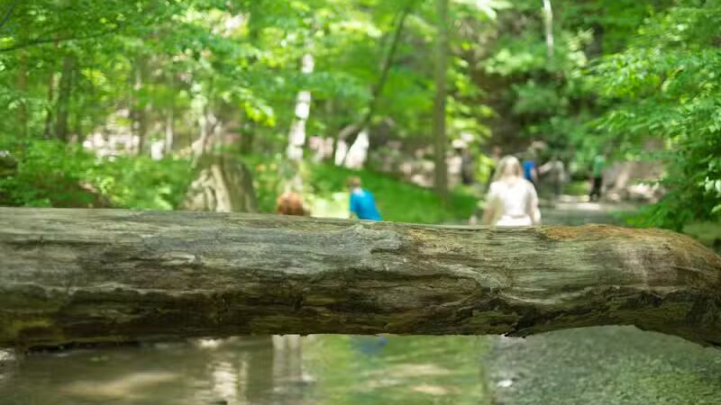 Shale Hollow Park - Delaware, OH
