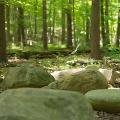 Shale Hollow Park - Delaware, OH