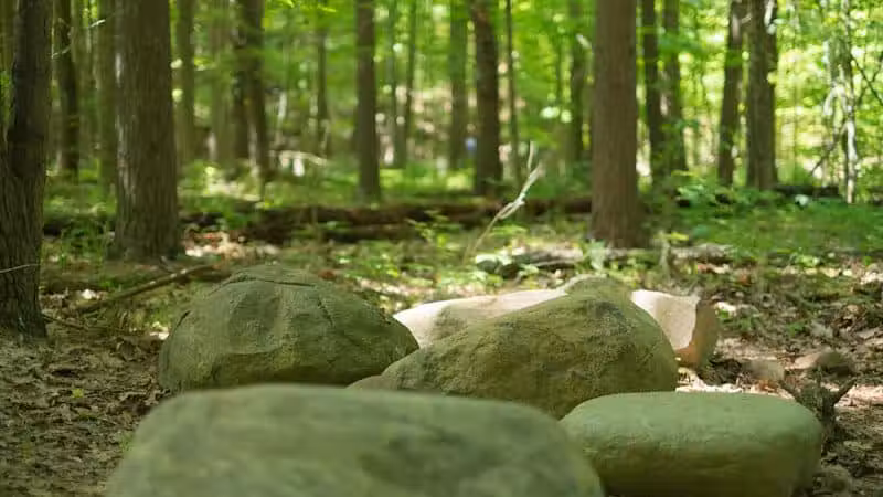 Shale Hollow Park - Delaware, OH