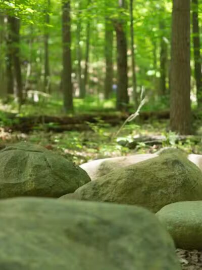 Shale Hollow Park - Delaware, OH