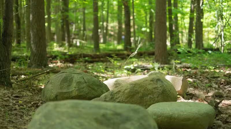 Shale Hollow Park - Delaware, OH