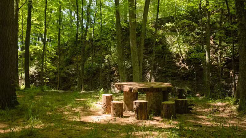 Shale Hollow Park - Delaware, OH