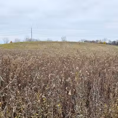 Smith Park - Delaware, OH