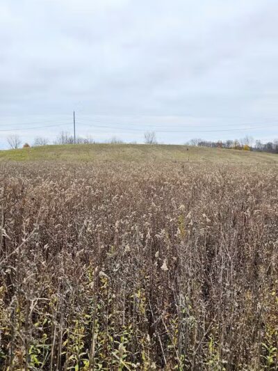 Smith Park - Delaware, OH