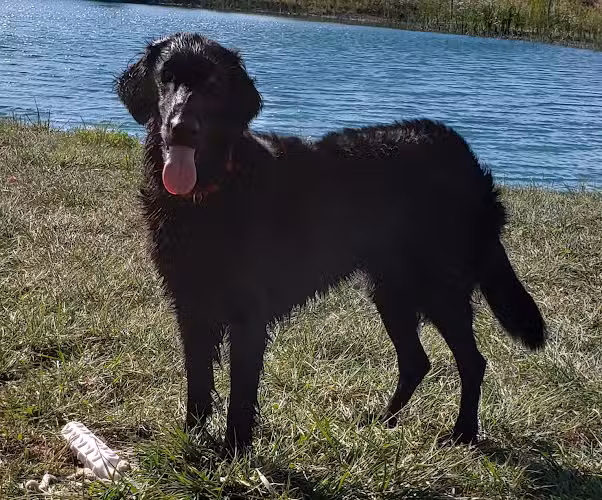 Smith Park - Delaware, OH