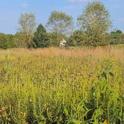 Stratford Woods Park - Delaware, OH