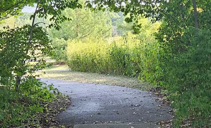 Stratford Woods Park - Delaware, OH