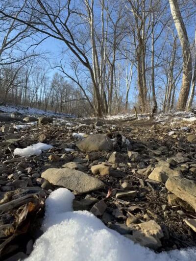 Sycamore Run Park - Delaware, OH