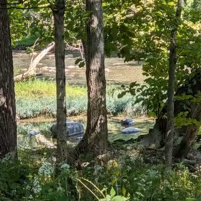 Sycamore Run Park - Delaware, OH