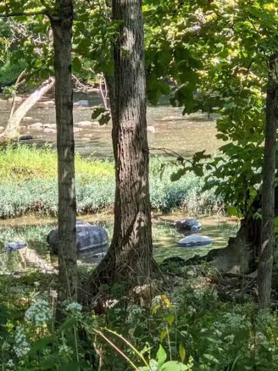 Sycamore Run Park - Delaware, OH