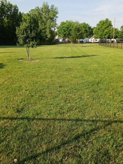 Bev's Dog Run - Delphos, OH