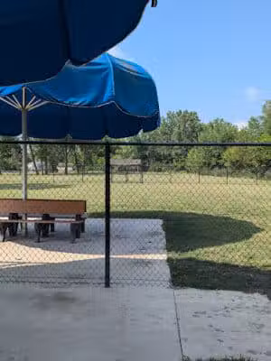 Bev's Dog Run - Delphos, OH