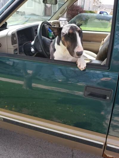 Wabash Cannonball Trailhead @ 109, South of Delta - Delta, OH
