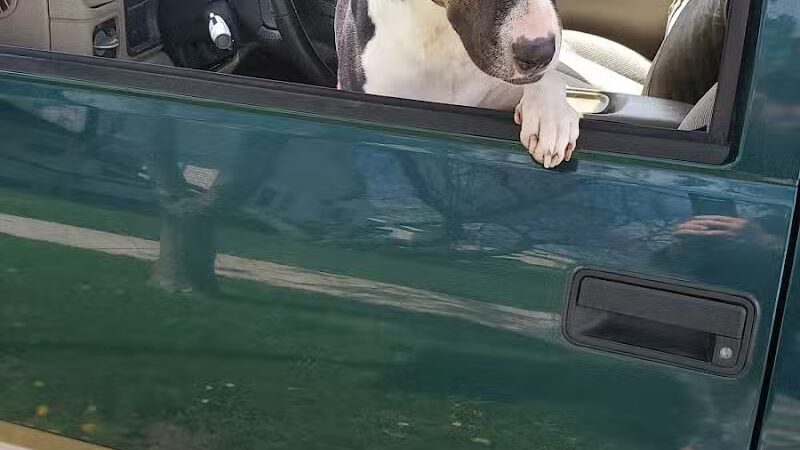 Wabash Cannonball Trailhead @ 109, South of Delta - Delta, OH