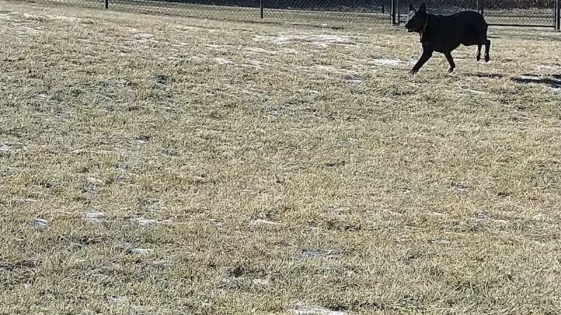Denison Dog Park - Denison, IA