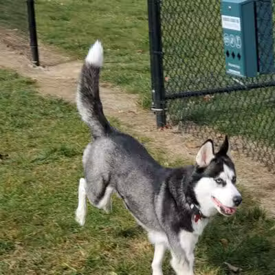 Denison Dog Park - Denison, IA