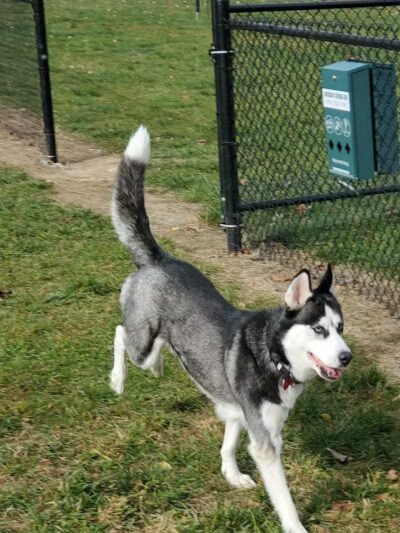 Denison Dog Park - Denison, IA