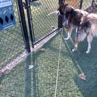Denison Dog Park - Denison, IA