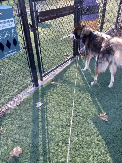 Denison Dog Park - Denison, IA