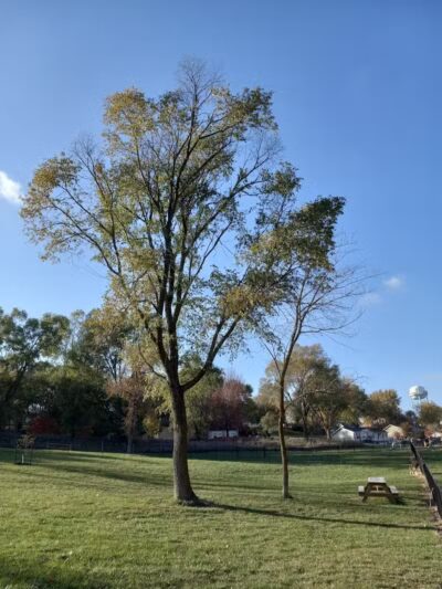 Denison Dog Park - Denison, IA