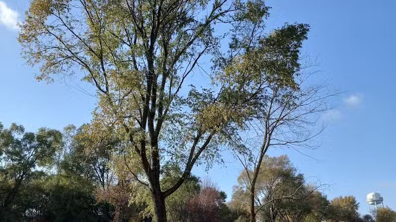 Denison Dog Park - Denison, IA