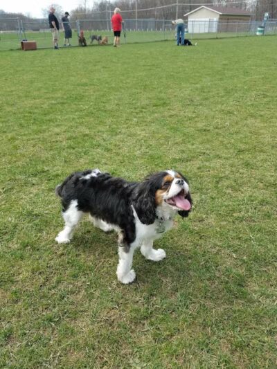 Dennison Stadium - Dennison, OH