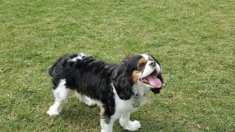 Dennison Stadium - Dennison, OH