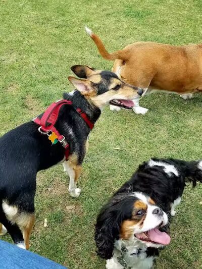 Dennison Stadium - Dennison, OH