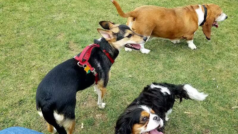 Dennison Stadium - Dennison, OH