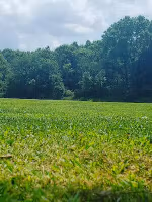 Thornwood park - Dennison, OH