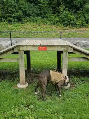 Derby & Ansonia Dog Park - Derby, CT