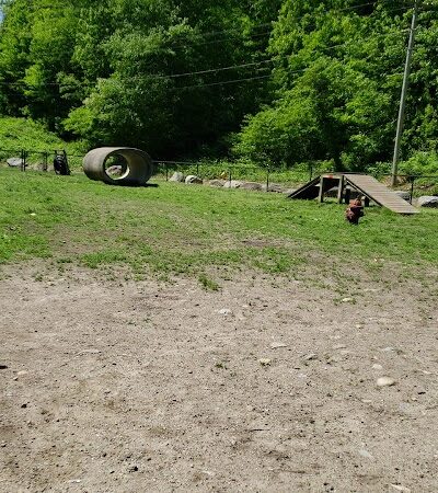 Derby & Ansonia Dog Park - Derby, CT