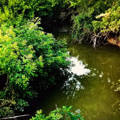 Reservoir Park - Deshler, OH